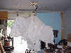 Image:ghost.jpg